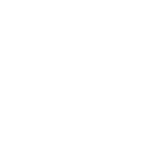 certification icon